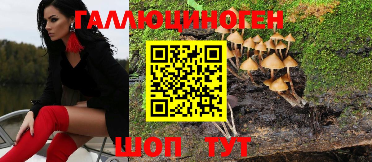Псилоцибиновые грибы прущие грибы  Вход с VPN  Галлюциногенные грибы MAGIC MUSHROOMS  Курск 