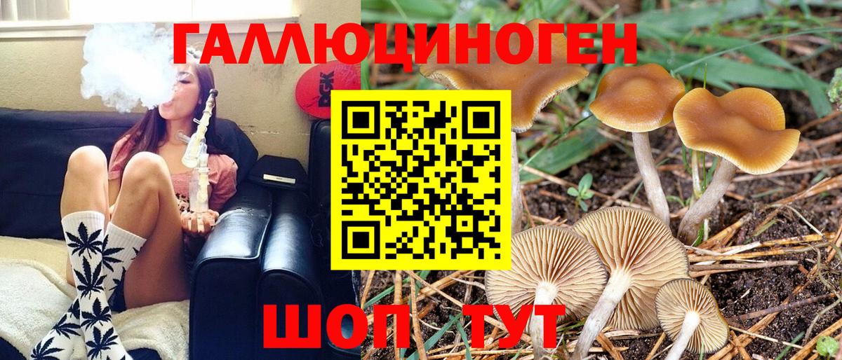 Псилоцибиновые грибы MAGIC MUSHROOMS Курск